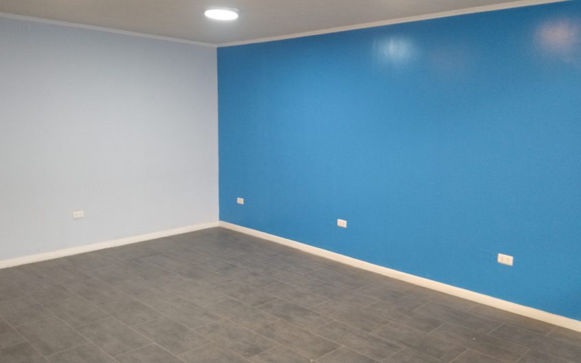 Bodega en Arriendo, casi nueva, Zapadores, Recoleta 500 m2