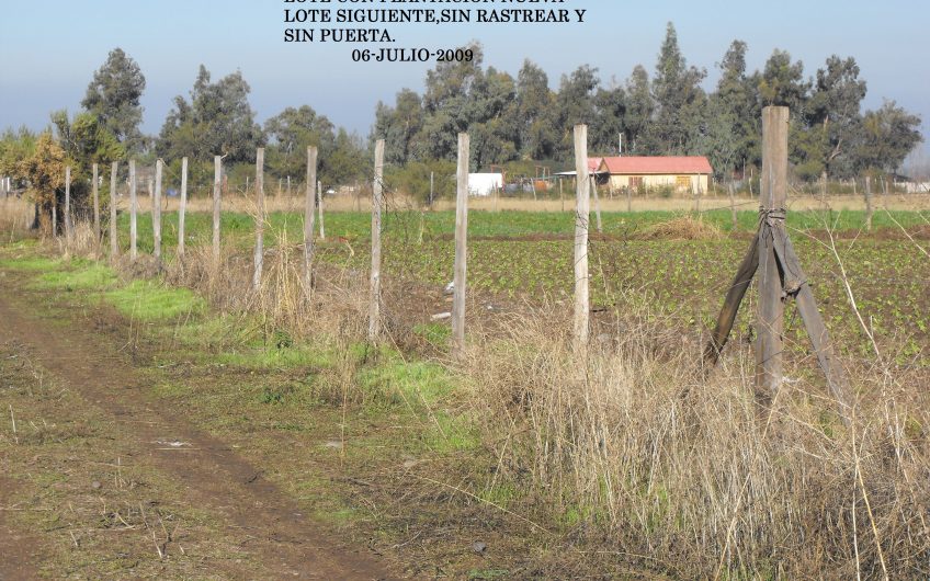 Sitio de 60.000 m2 en Colina, Reina Sur