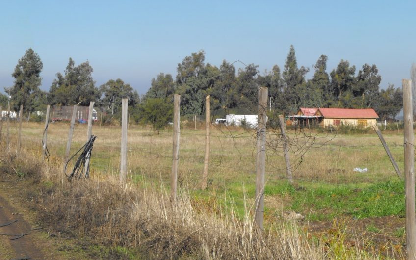 Sitio de 60.000 m2 en Colina, Reina Sur
