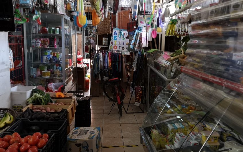 Casa y Local Comercial en comuna Padre Hurtado