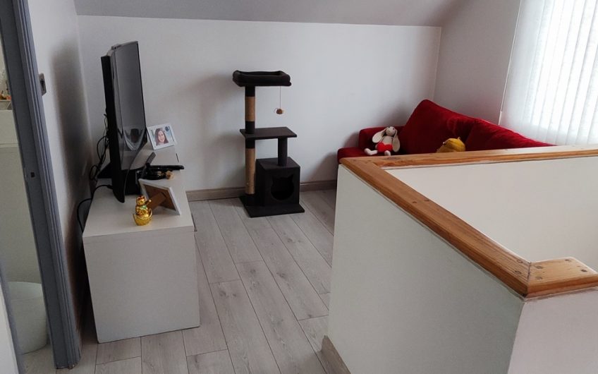 Foto 19