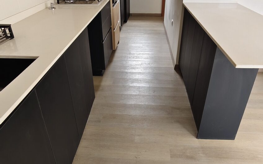 Departamento Holanda con Providencia REMODELADO