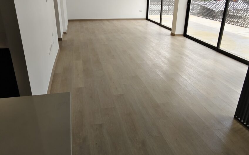 Departamento Holanda con Providencia REMODELADO