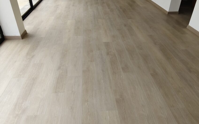 Departamento Holanda con Providencia REMODELADO