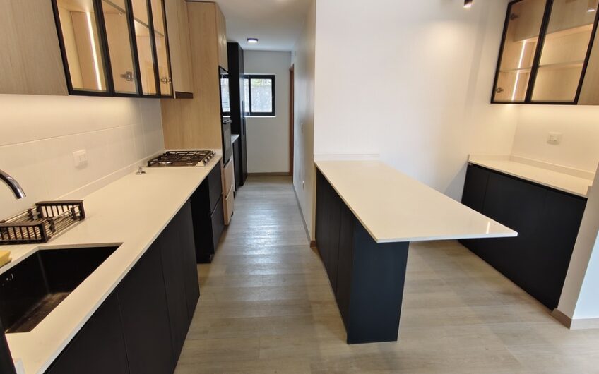 Departamento Holanda con Providencia REMODELADO