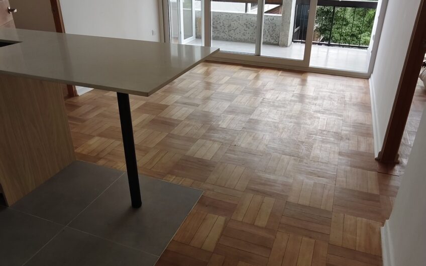 Departamento Carlos Antunez R. Lyon