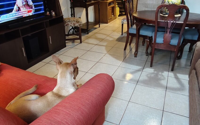 Departamento Duplex Las Torres Macul