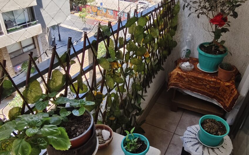 Departamento 2 Dormitorios San Pablo San Martín