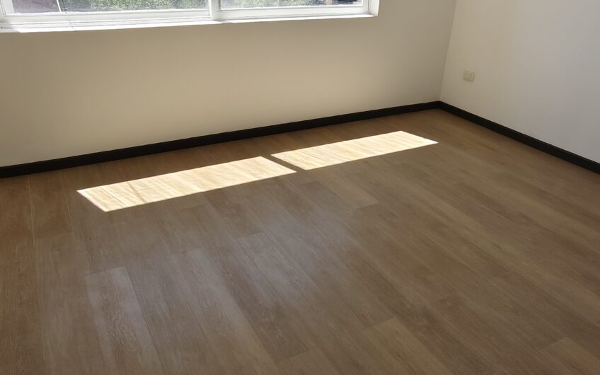 Departamento REMODELADO Providencia con Lyon