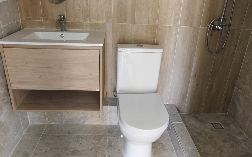 Departamento REMODELADO Providencia con Lyon