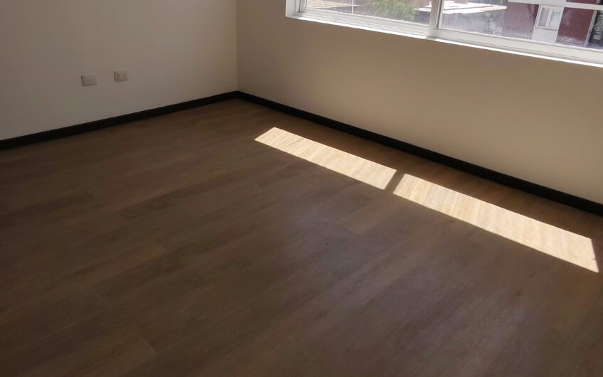 Departamento REMODELADO Providencia con Lyon