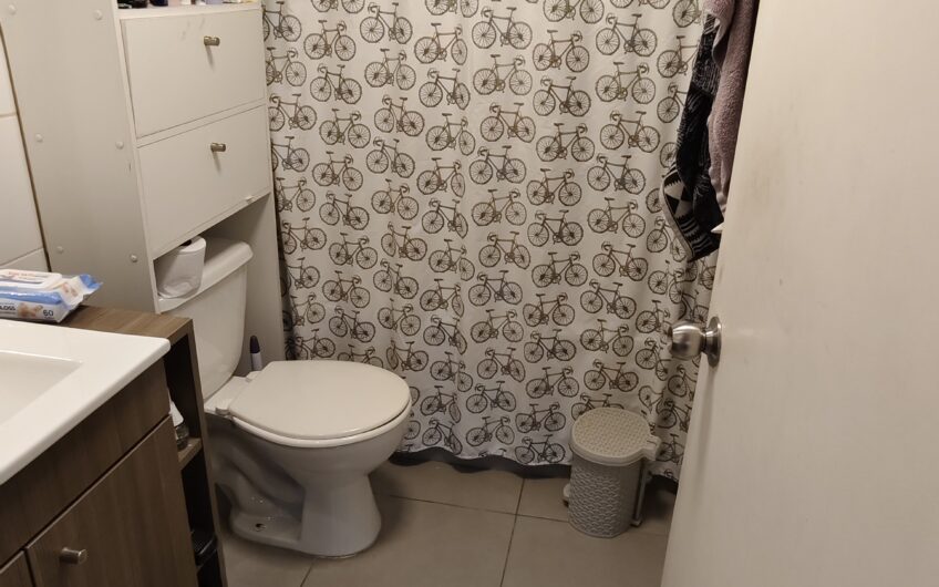 Departamento Premio Nobel Macul